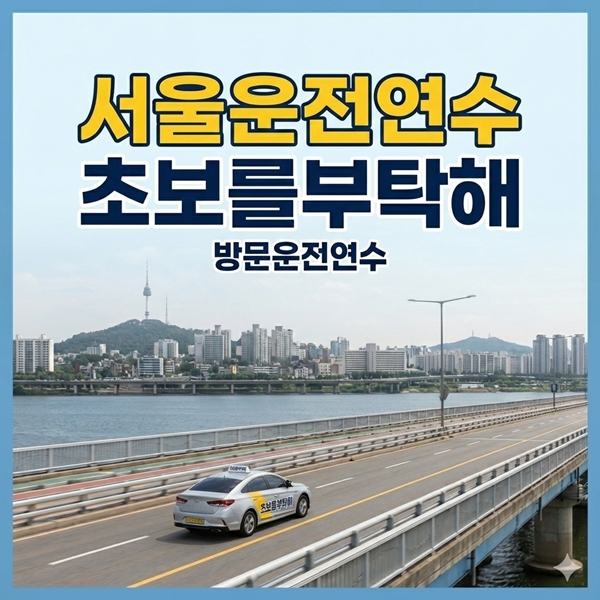 전국운전연수는 초보를부탁해